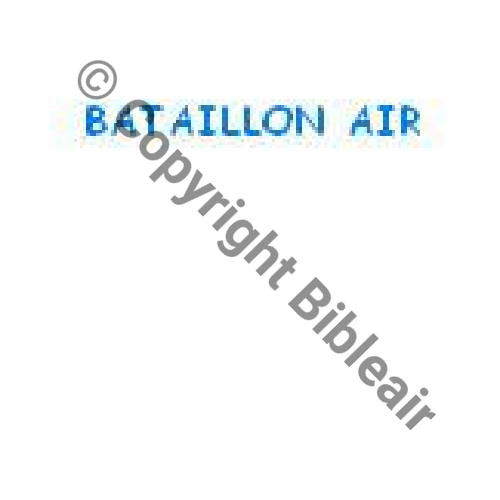 A1156NH    Bat Air 117 PARIS  1 